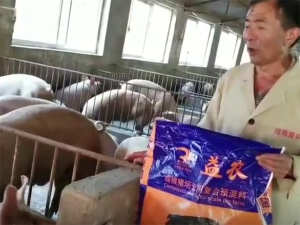 我為益農暴長王代言